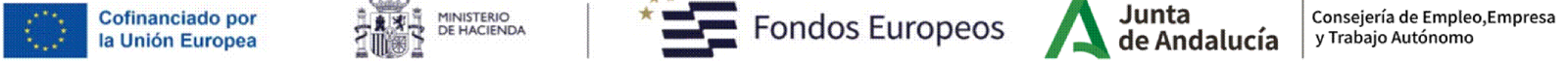 Logotipo subvención FEDER
